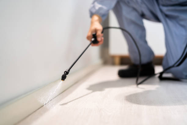 Bed Bug Pre-Treatment Preparation Assessment in Stevenson Ranch
