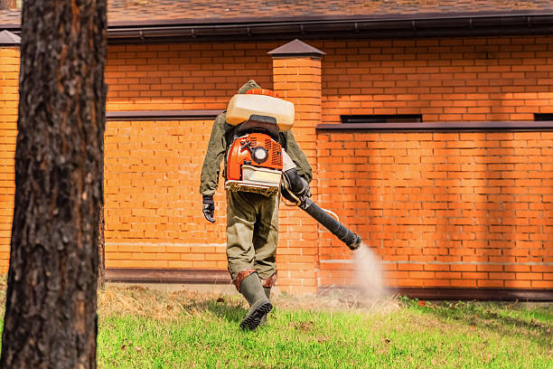 Bed Bug Clearance Verification and Documentation in Stevenson Ranch